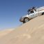 masterdesert231